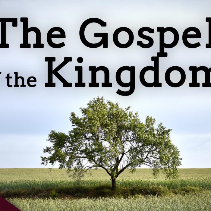 Jesus Preached The Gospel of the Kingdom. Do We? (Ep. 72)