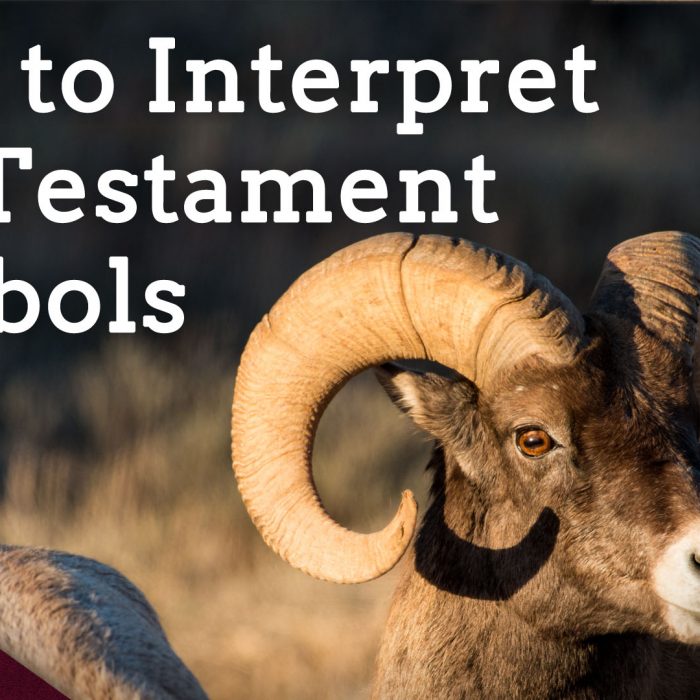 Interpreting Types and Shadows: Old Testament Hermeneutics (Ep. 207)