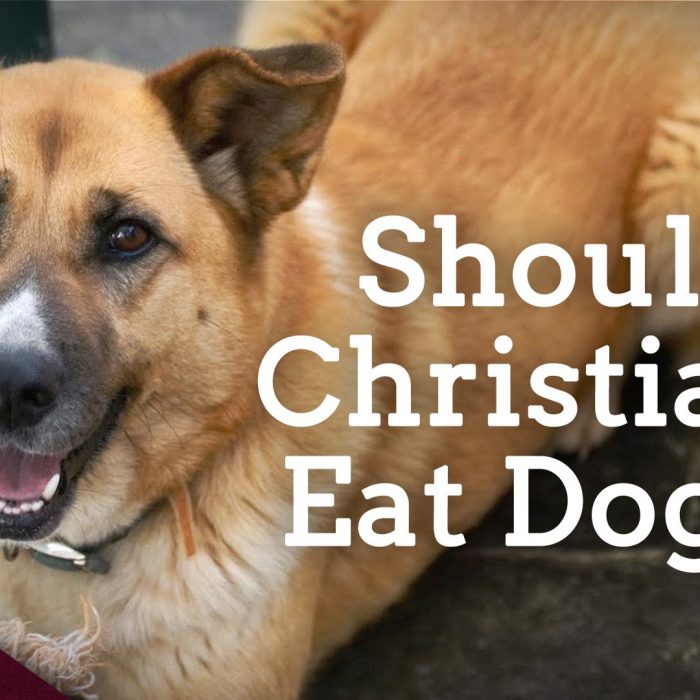 Should Christians Eat Dogs? (Ep. 257)